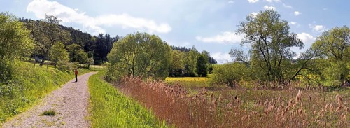 Woman on a trail through the Morsbachtal valley