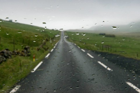 Rain on a windshield