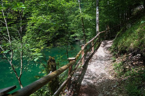 Hiking trail in Mendlingtal valley