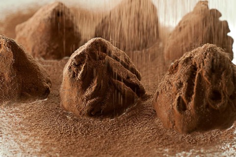 Truffles dusted with cocoa powder
