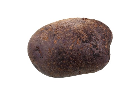 Potato