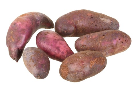 Potato