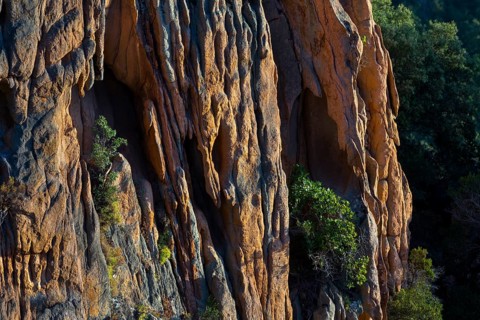 Bizarre rock erosions in the evening light