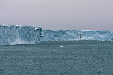 Brasvellbreen