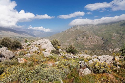 Kedros Mountains