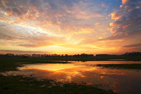 Dramatic sky at sunset with reflection in flooded meadow
