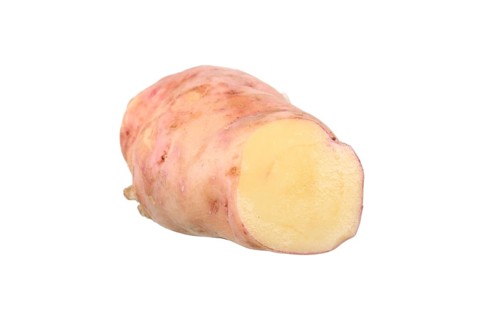 Potato