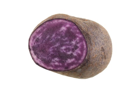 Potato