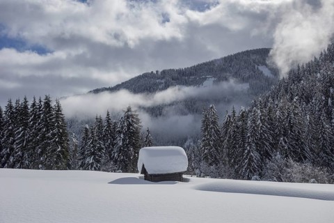 Wooden hut covered with a lot of snow