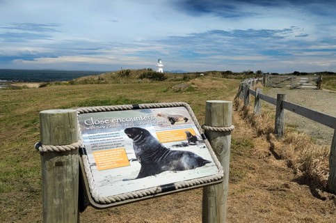 Information board for sea lions