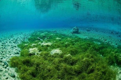 Underwater view