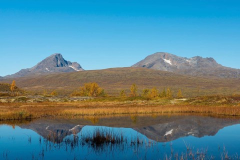 Autumn landscape