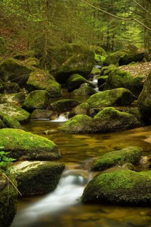 Stillensteinklamm gorge