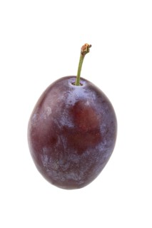 Plum