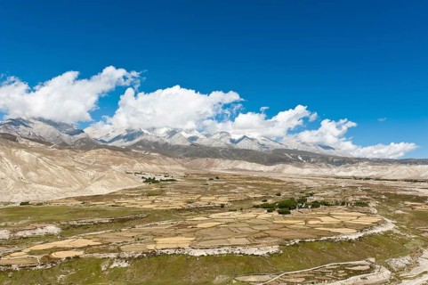 Barren cultivated landscape