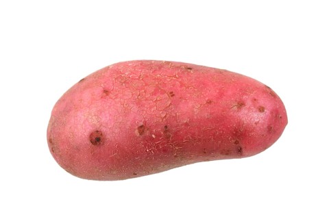Potato