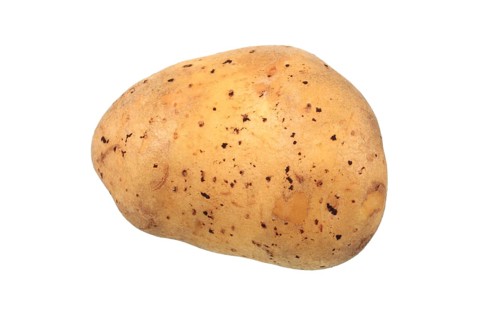Potato