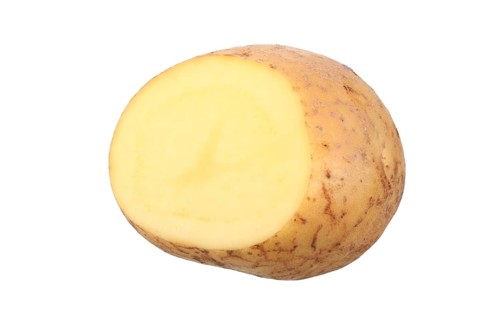 Potato