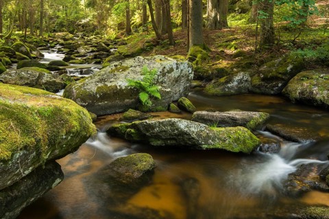 Hollfall falls