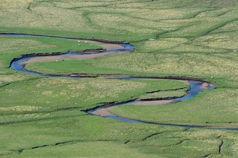 Meandering creek
