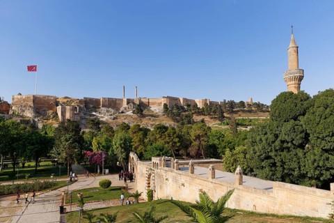 Citadel