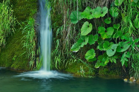 Waterfall