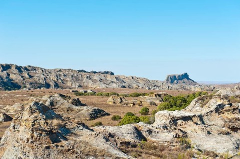 Dry and wide erosional landscape with rocks and trees