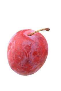 Plums