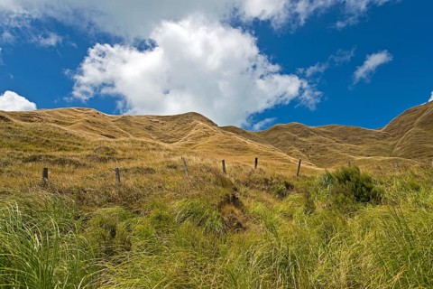 Hills near Mahia
