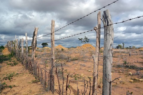 Simple barbed wire fence at a barren pasture