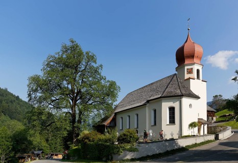 Filial Church of St. Catherine and a Wych elm or Scots elm in Marul