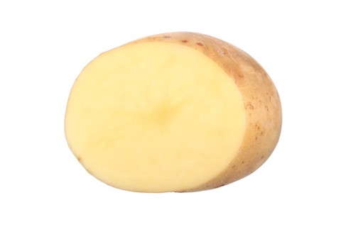 Potato