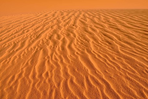 Sand ripples