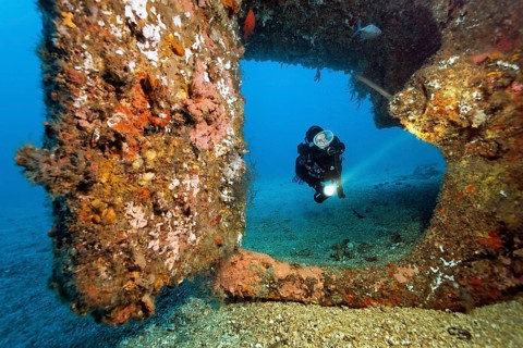 Diver at overgrown rudder