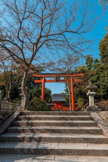 Torii Gate at Tenryuji Temple