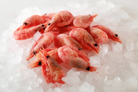Fresh prawns on crushed ice