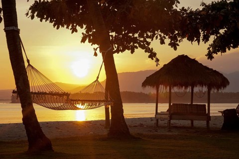 Hammock on a beach