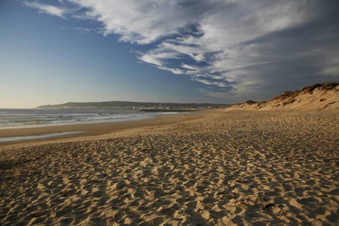 Footprints in the sand