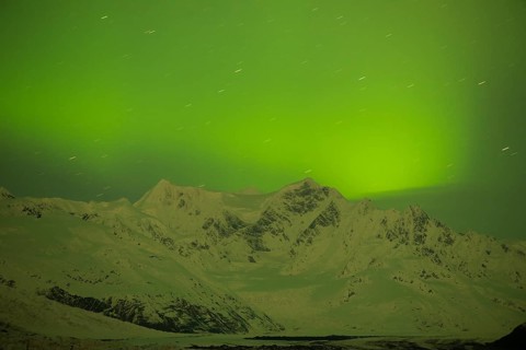 Aurora borealis over College Fjord