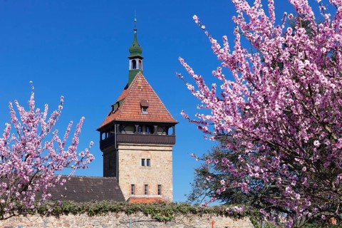Geilweiler Hof