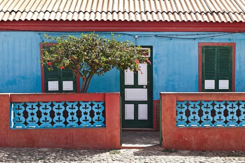 Colourful house with a flowering hibiscus tree