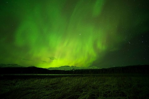 Aurora borealis over College Fjord