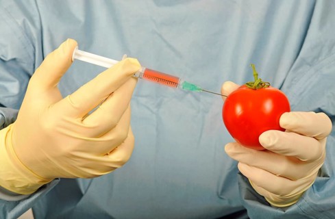 Chemist in sterile scrubs holding a syringe and a tomato