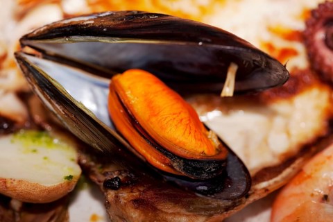 Cooked mussel on a plate