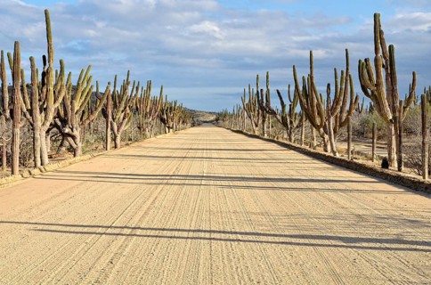 Sand road