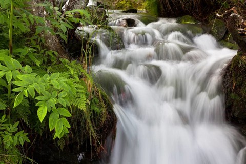 Waterfall