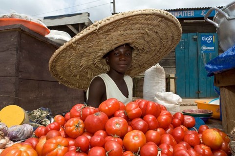 Girl selling tomatoes on a market