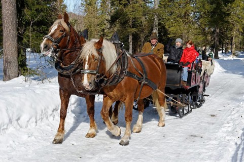 Sleigh ride from Rottach to the Weissachalm in Weissachtal Valley