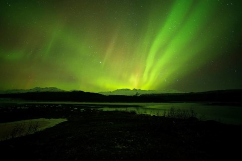 Aurora borealis over College Fjord