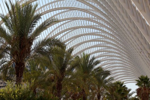 L'Umbracle